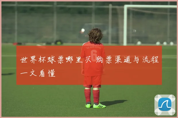 世界杯球票哪里买 购票渠道与流程一文看懂