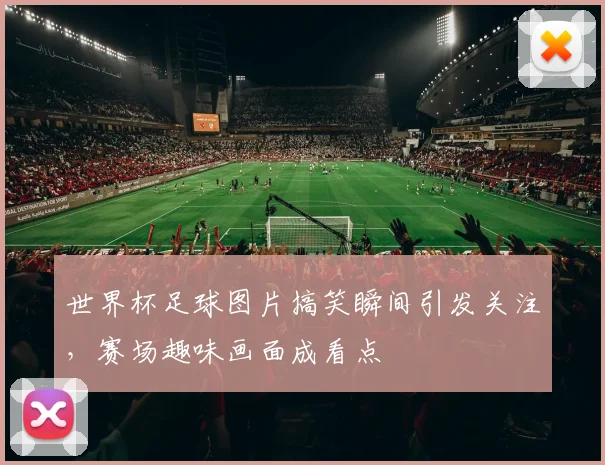 世界杯足球图片搞笑瞬间引发关注，赛场趣味画面成看点
