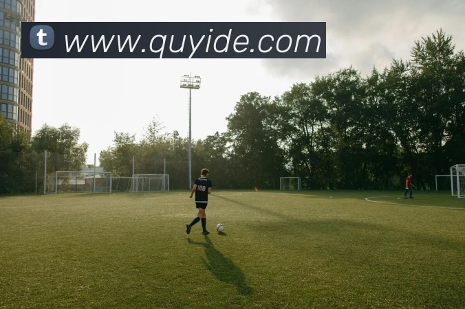 巅峰国际app注册登录服务体系